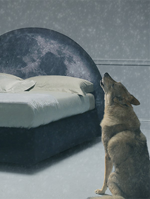 Abito - particolare 1