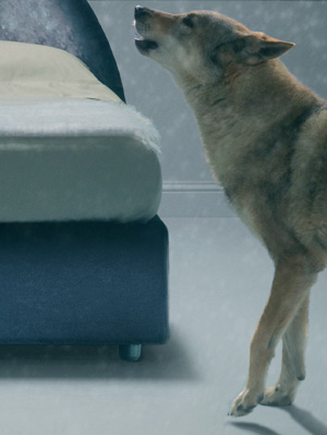 Abito - particolare 2